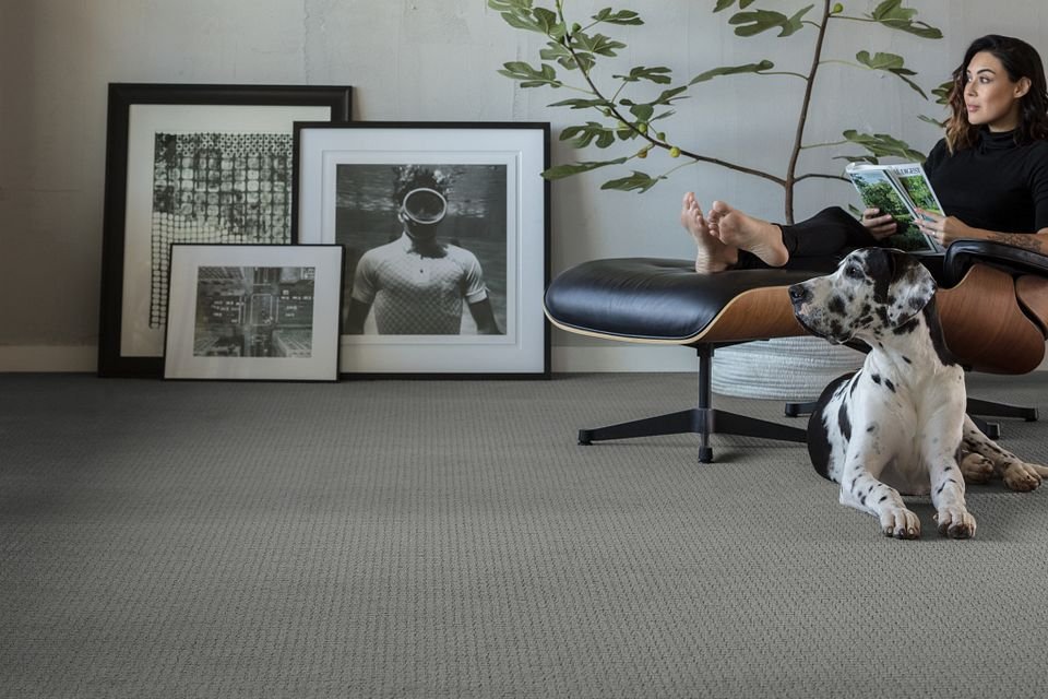 woman reading on chair with a dog sitting next to her on a gray carpet