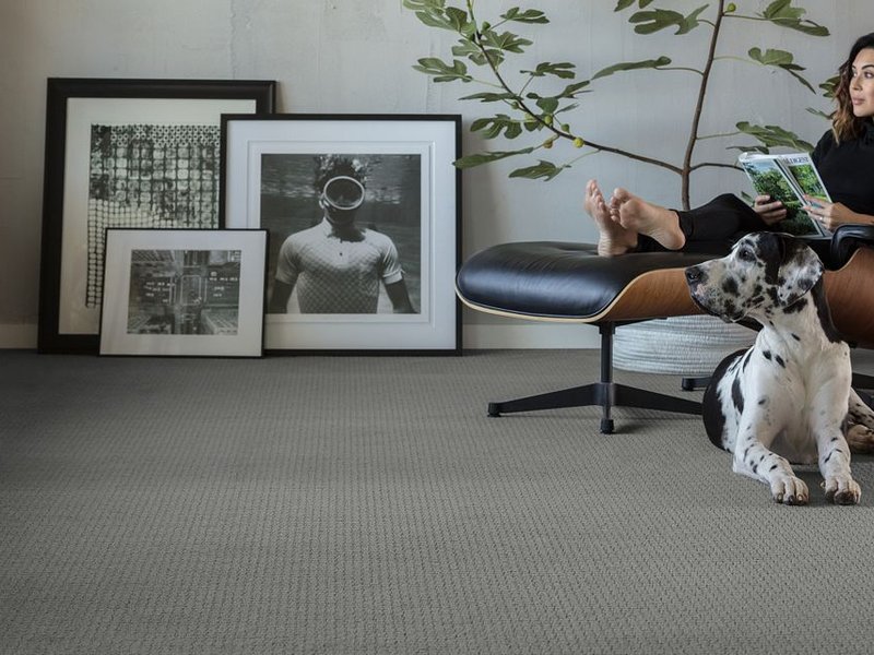 woman reading on chair with a dog sitting next to her on a gray carpet
